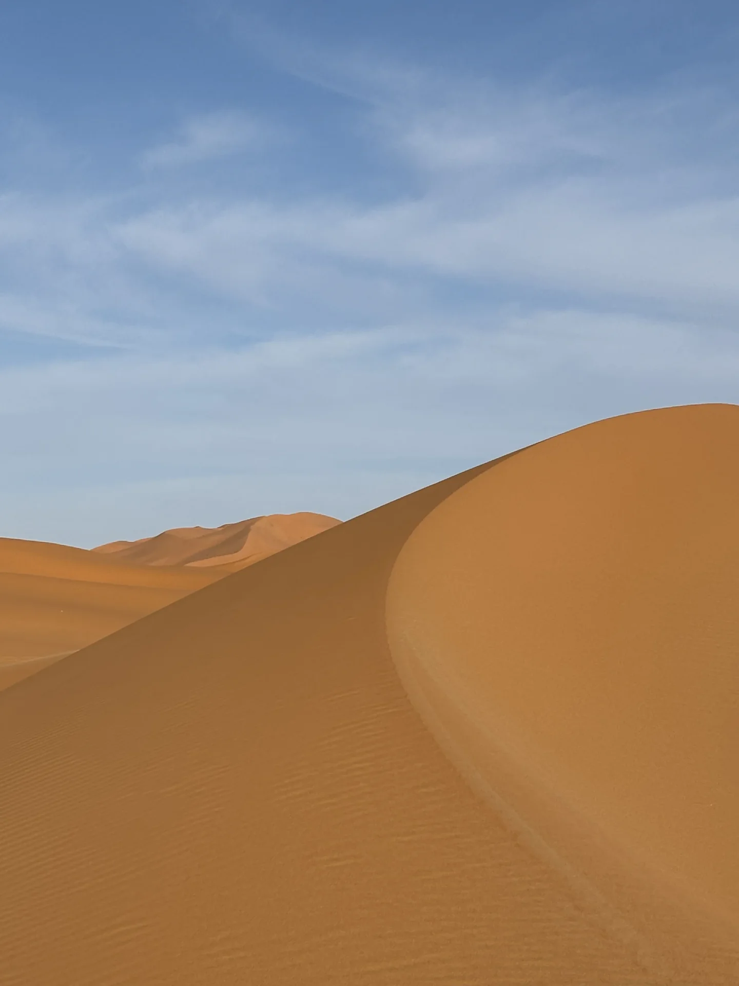 Sahara desert panorama