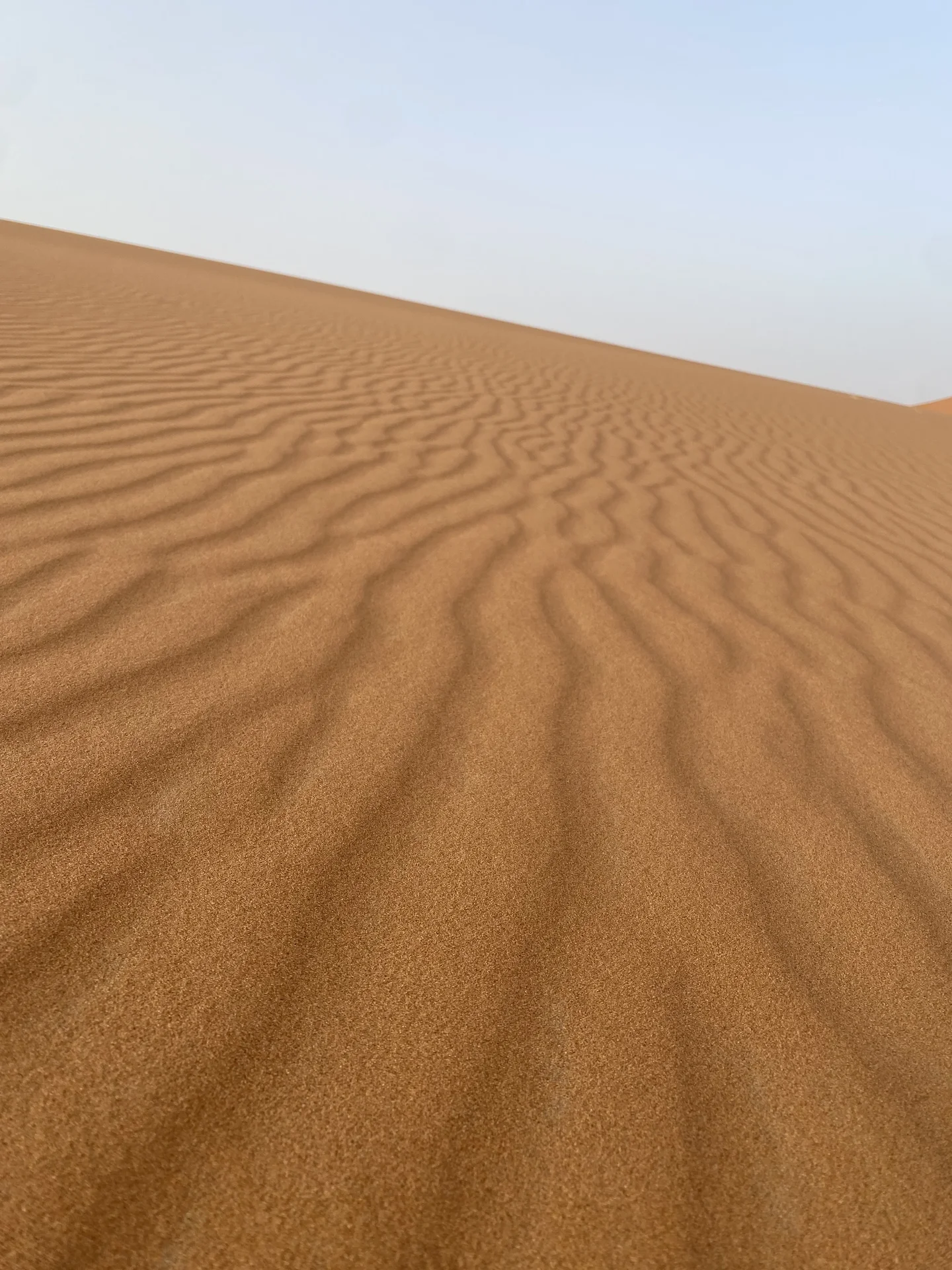 Sahara desert sunrise