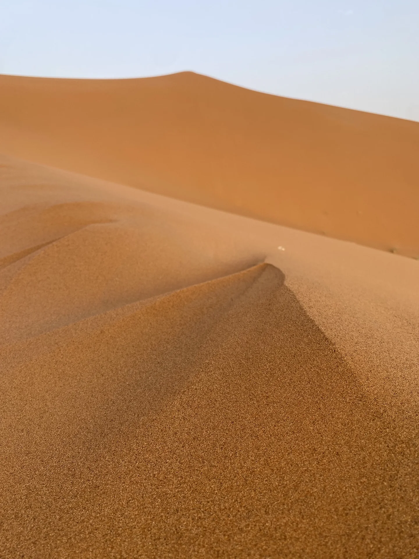 Desert caravan silhouette